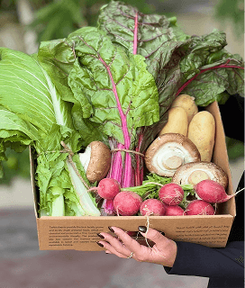 Fruits & Vegetables