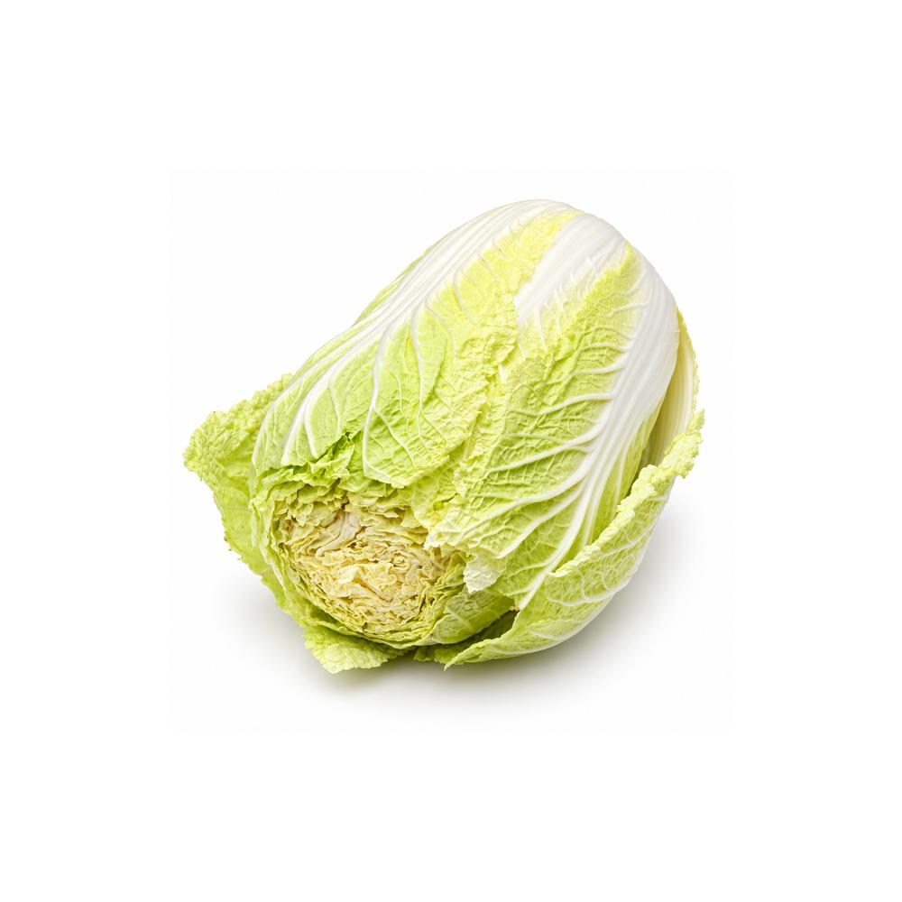 Napa Cabbage