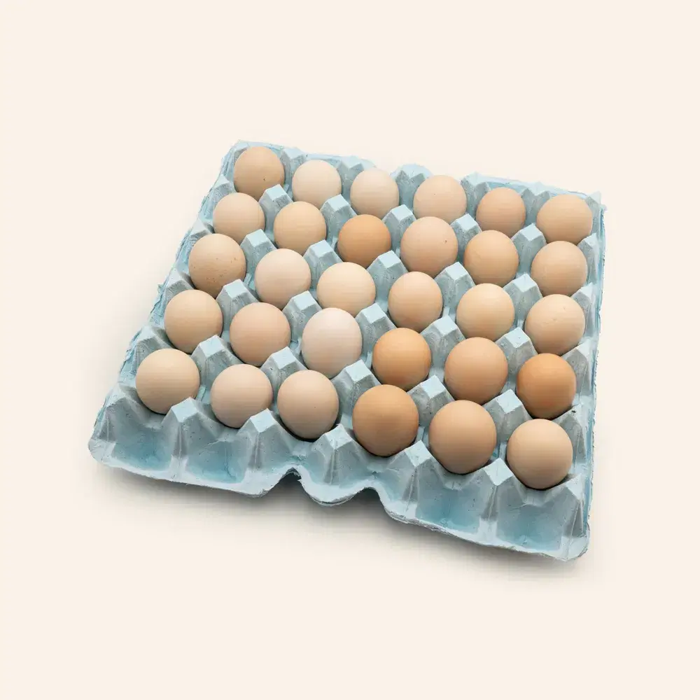Free Range Chicken Eggs